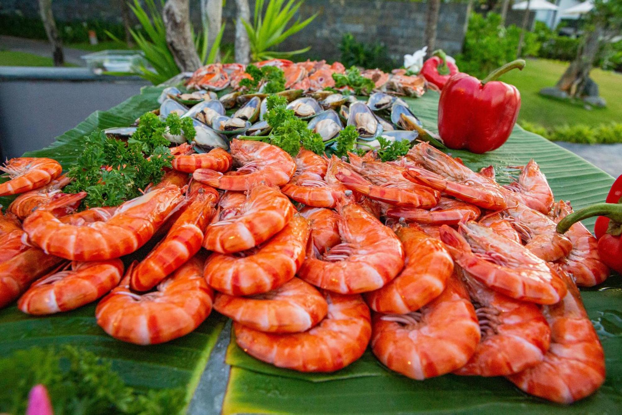 Dưỡng Bãi Biển Melia